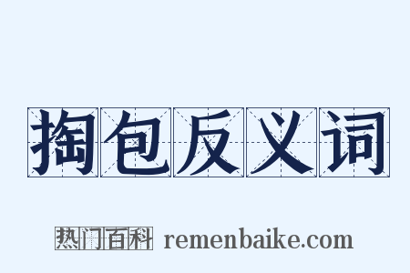 掏包反义词是什么意思的图片